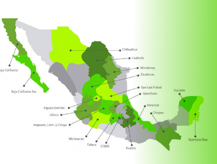 ESTOS SON LOS ESTADOS EN DONDE PUEDES CONSEGUIR INTELICRETO