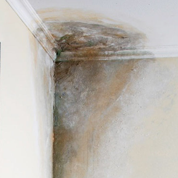 Evita la humedad en tu casa